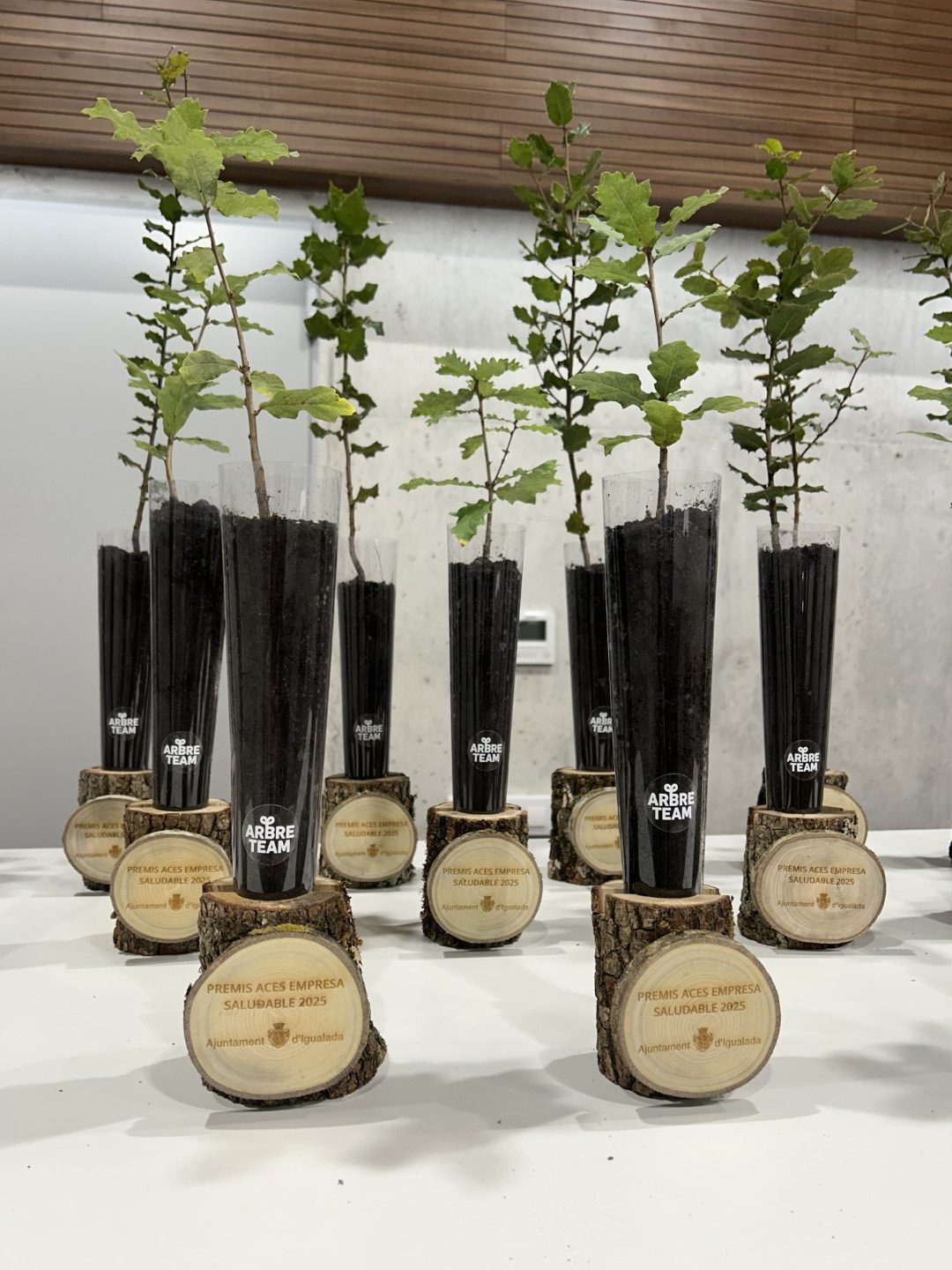 PREMIS_ACES_2025_moments00255